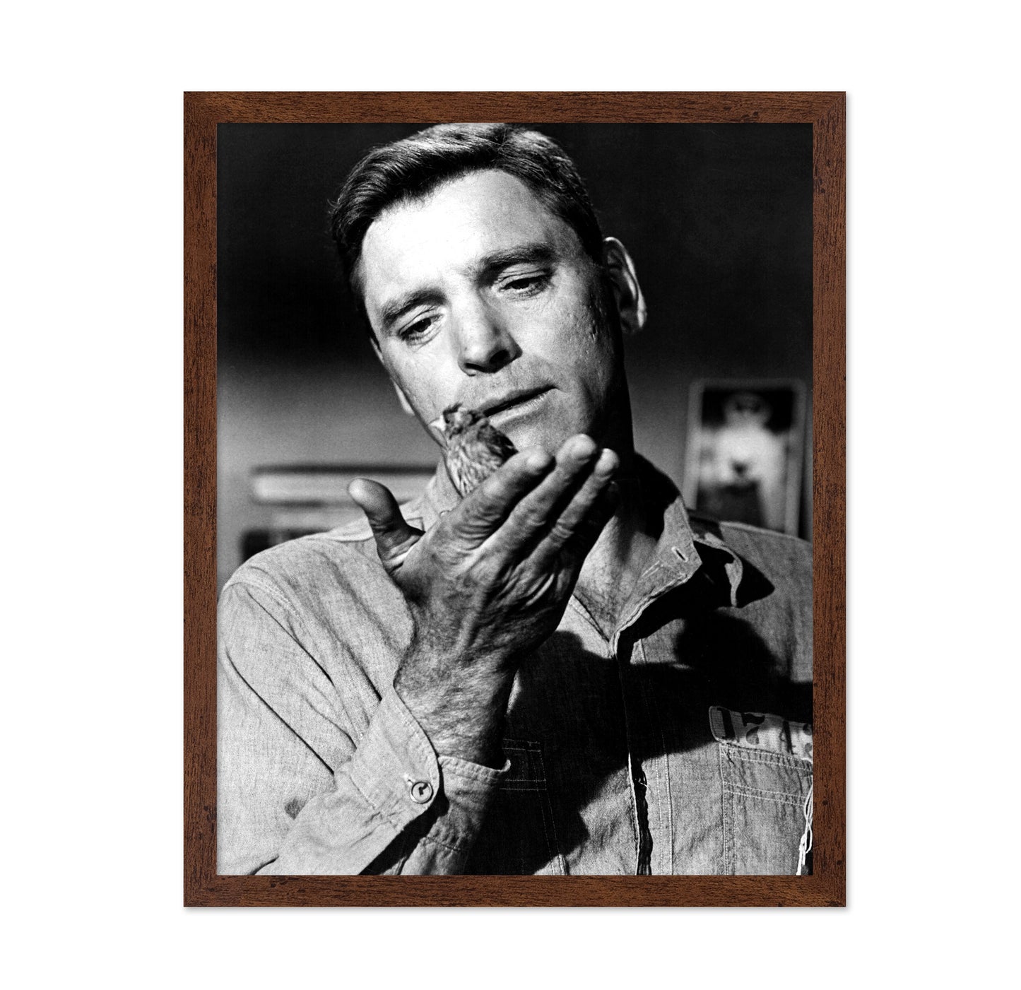 Birdman of Alcatraz 1962 Burt Lancaster No2