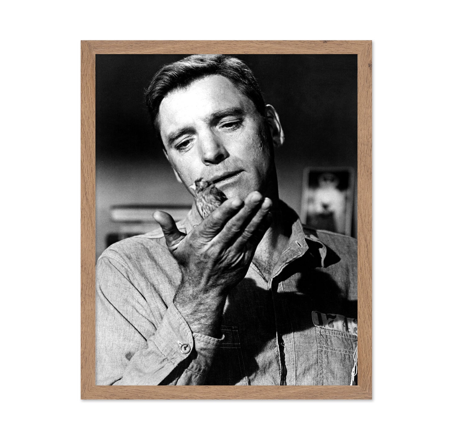 Birdman of Alcatraz 1962 Burt Lancaster No2