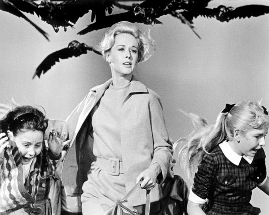 The Birds 1963 Tippi Hedren No3