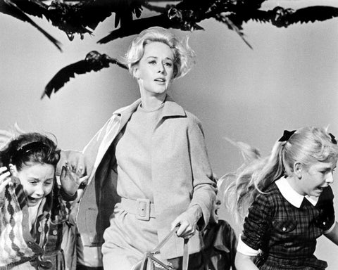 The Birds 1963 Tippi Hedren No3