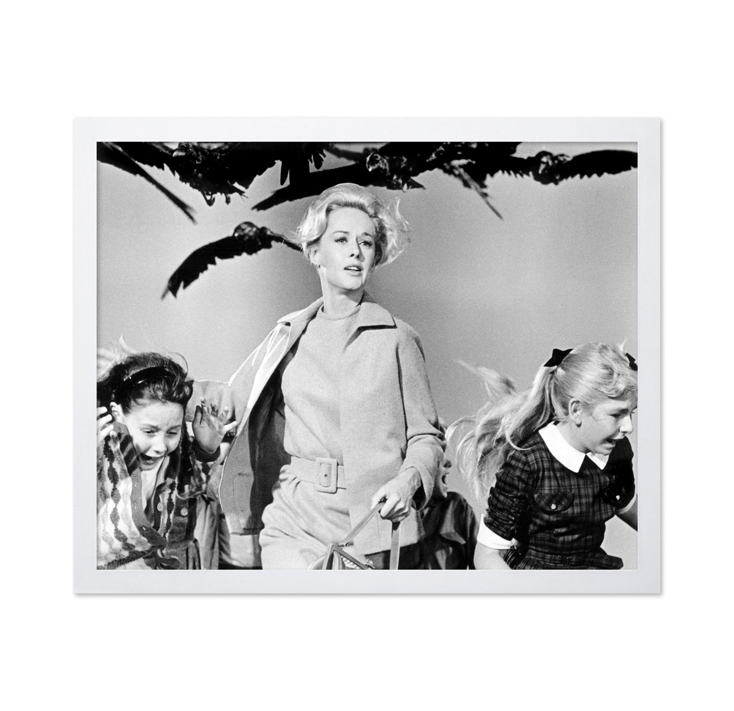The Birds 1963 Tippi Hedren No3