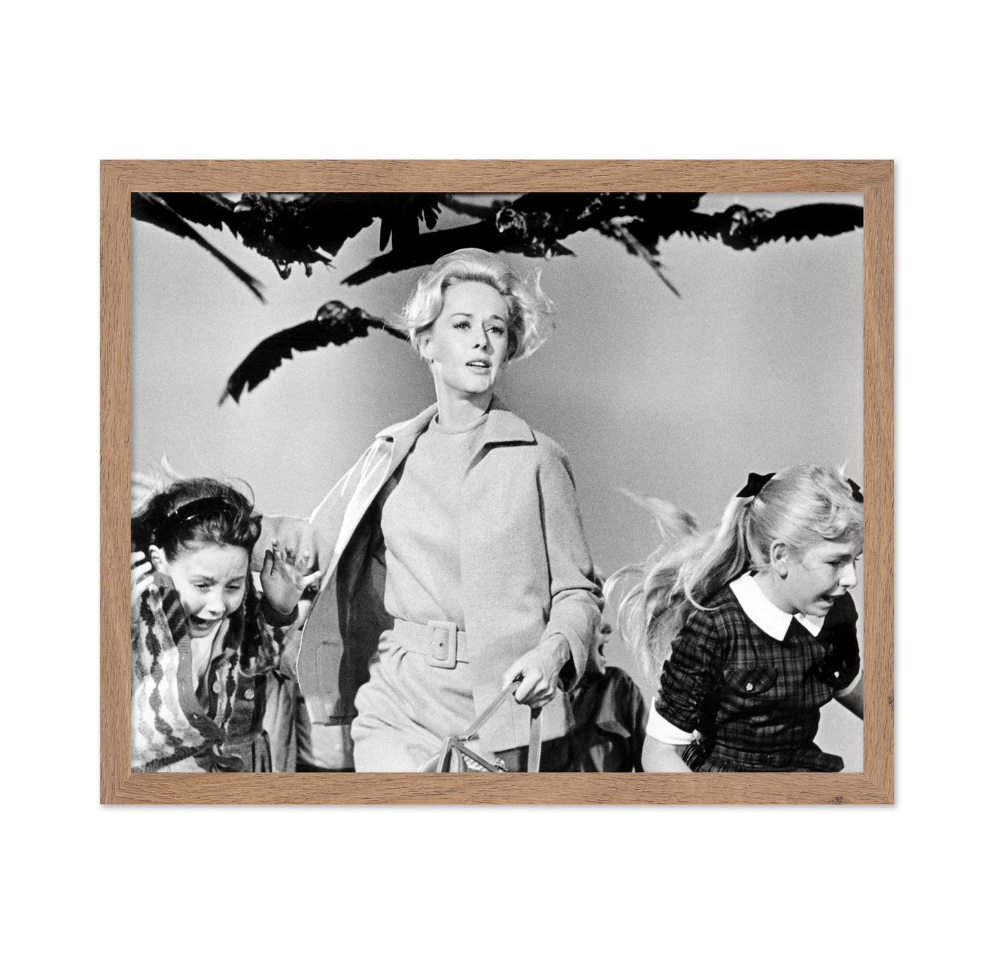 The Birds 1963 Tippi Hedren No3