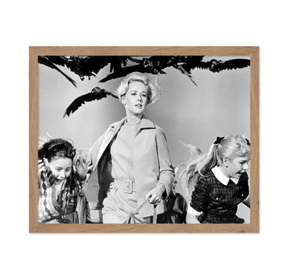 The Birds 1963 Tippi Hedren No3
