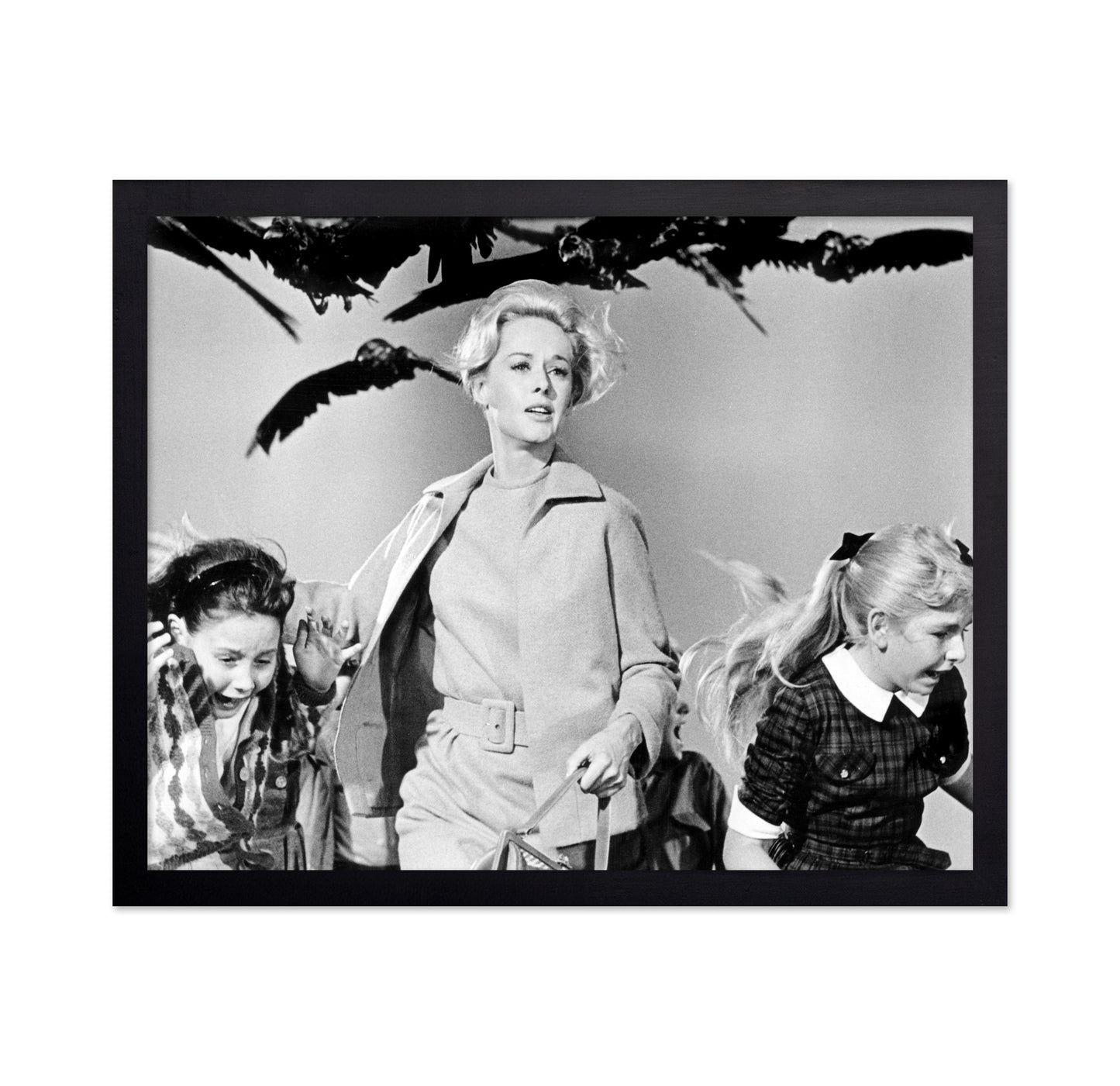 The Birds 1963 Tippi Hedren No3