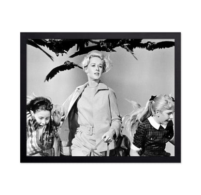 The Birds 1963 Tippi Hedren No3