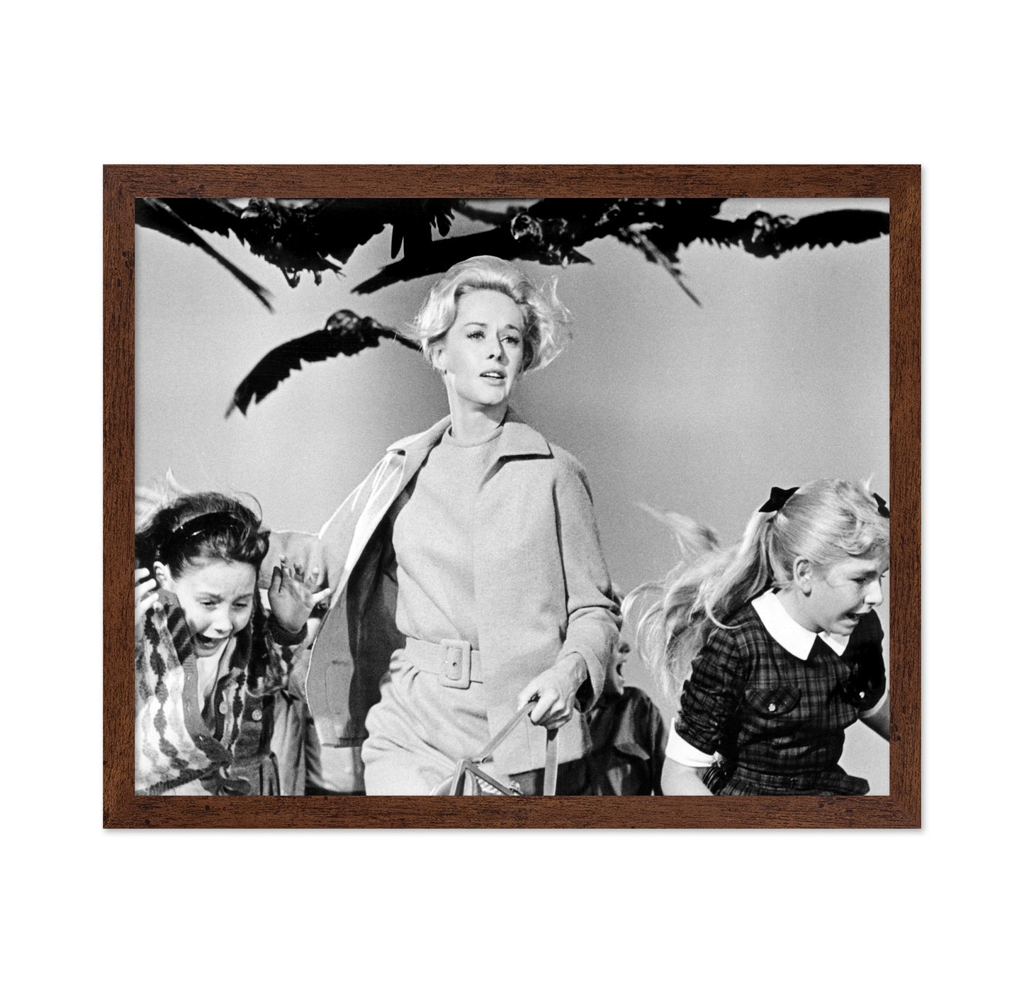 The Birds 1963 Tippi Hedren No3