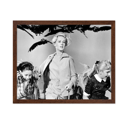 The Birds 1963 Tippi Hedren No3