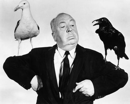 The Birds 1963 Alfred Hitchcock No1
