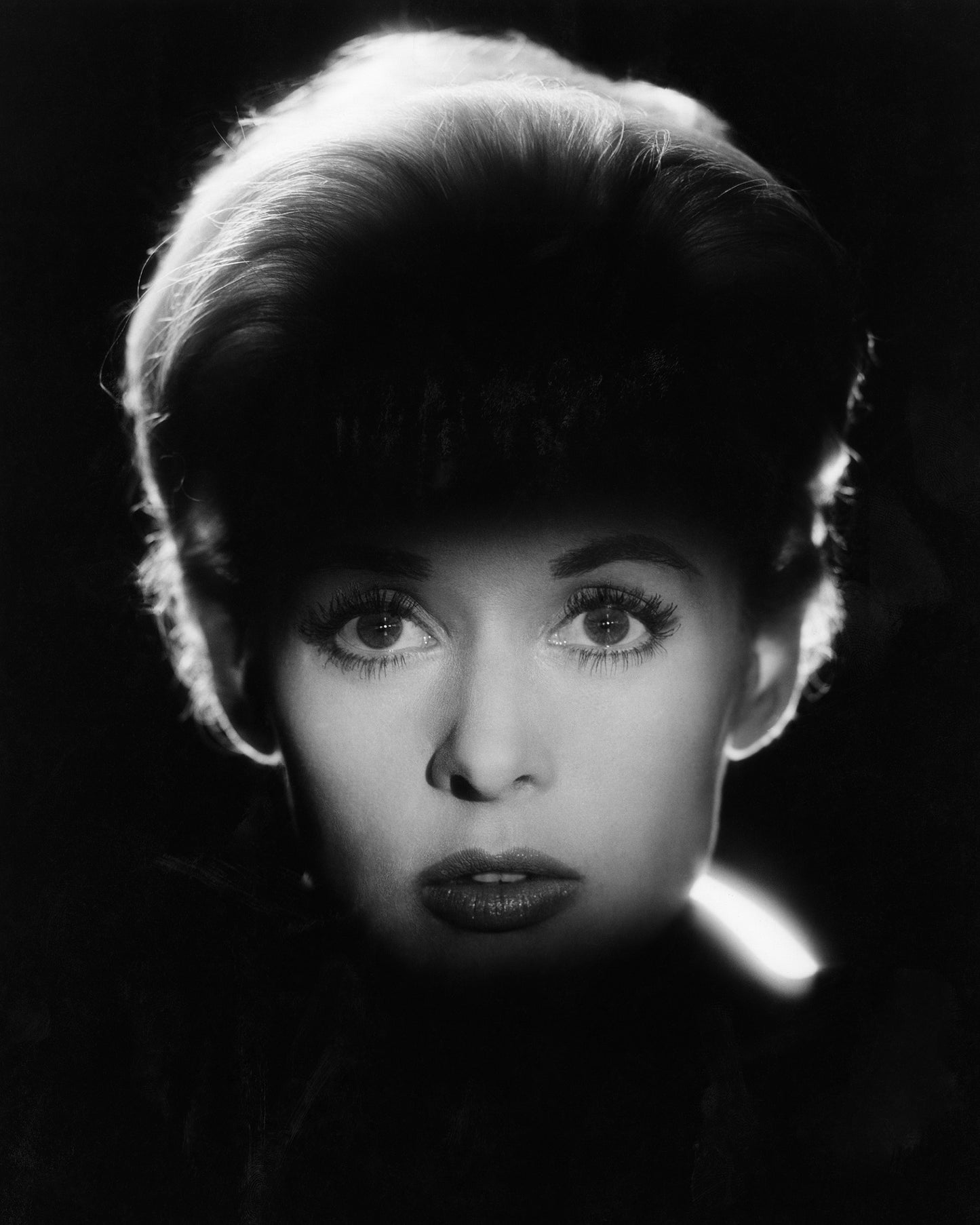 The Birds 1963 Tippi Hedren No2