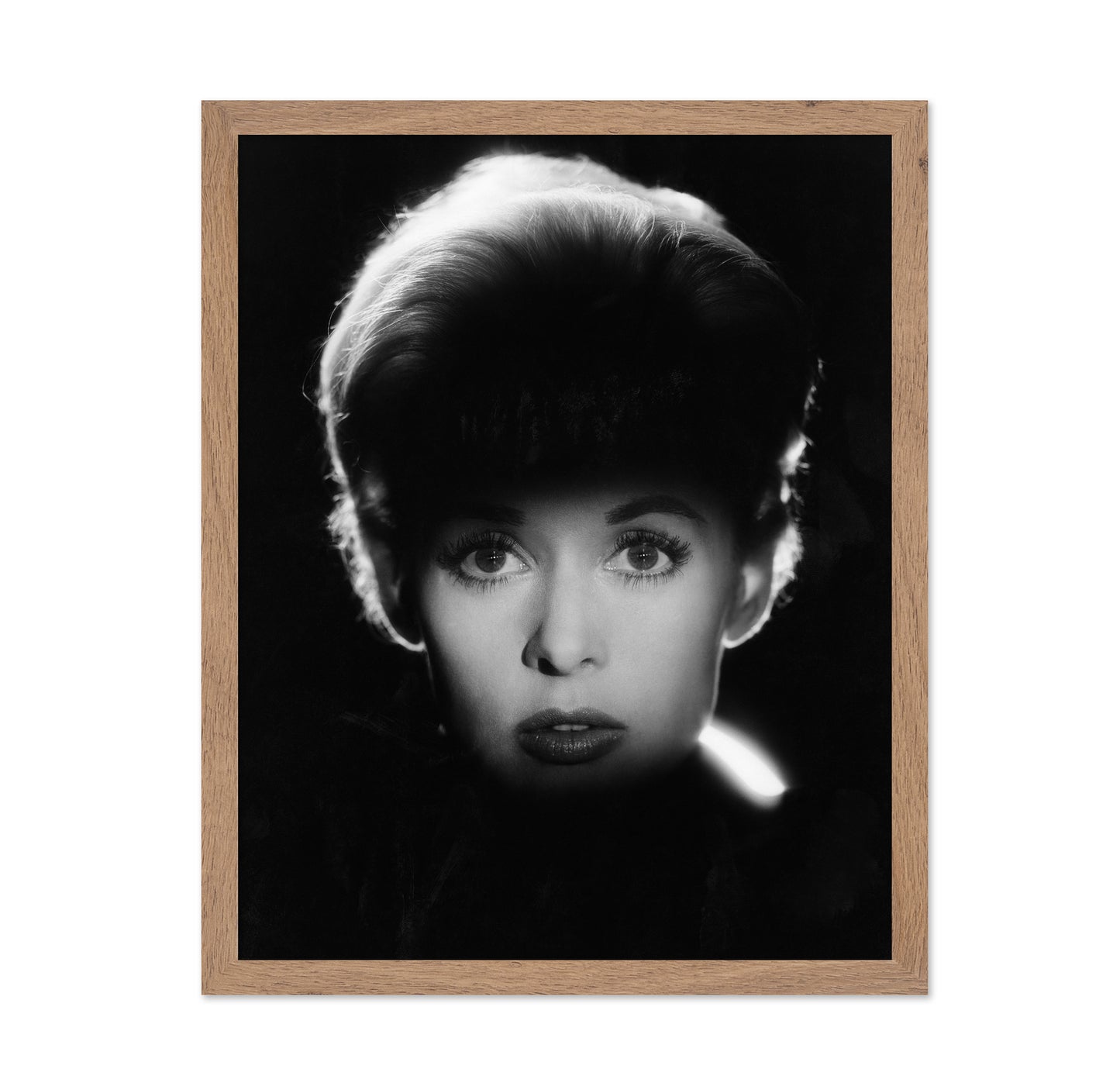 The Birds 1963 Tippi Hedren No2