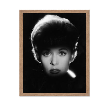 The Birds 1963 Tippi Hedren No2