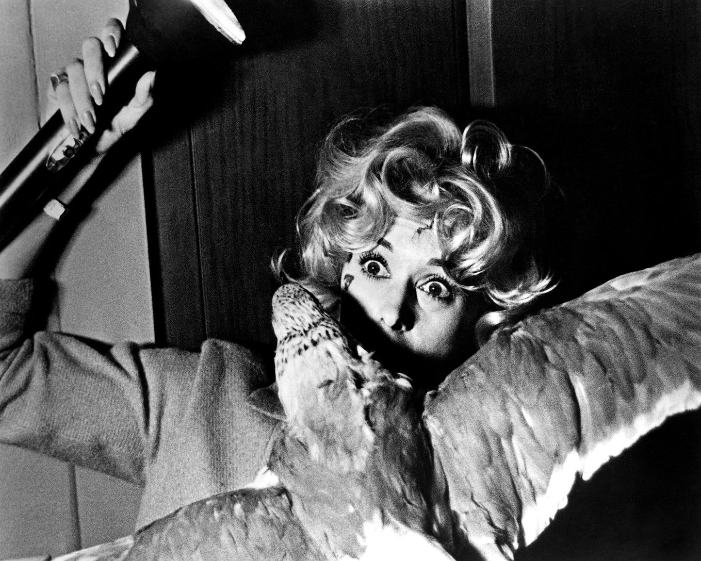 The Birds 1963 Tippi Hedren No1
