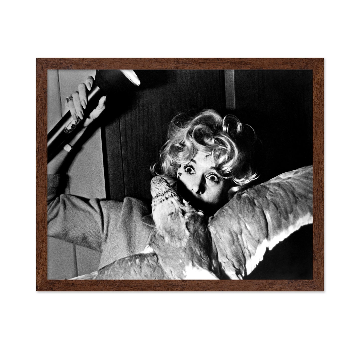 The Birds 1963 Tippi Hedren No1