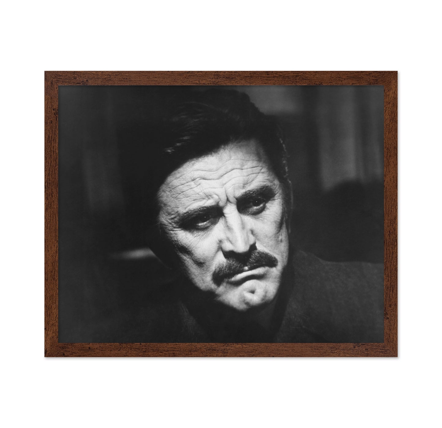 The Brotherhood 1968 Kirk Douglas No1