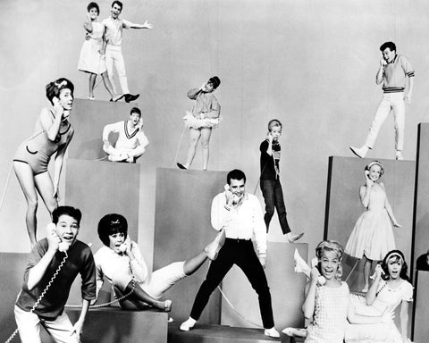 Bye Bye Birdie 1963