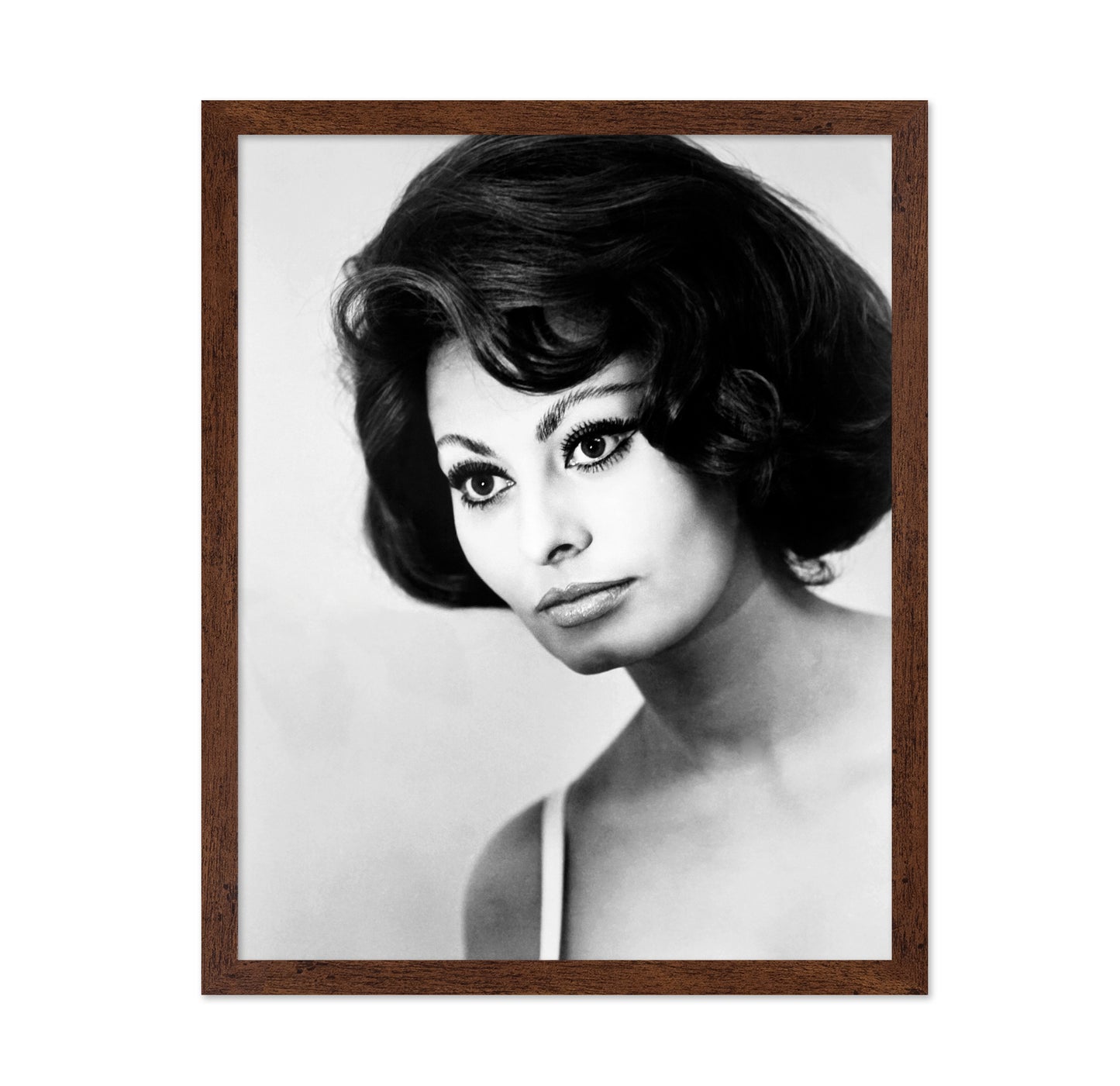 A Countess from Hong Kong 1967 Sophia Loren