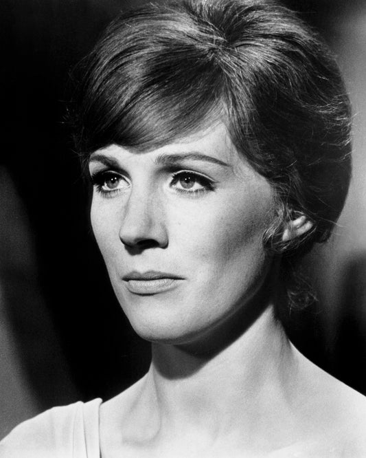Darling Lili 1970 Julie Andrews