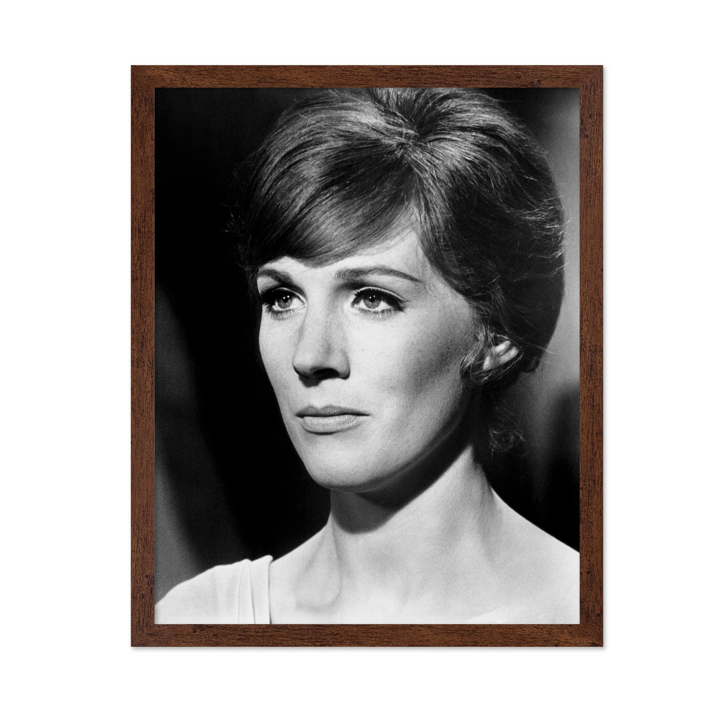 Darling Lili 1970 Julie Andrews