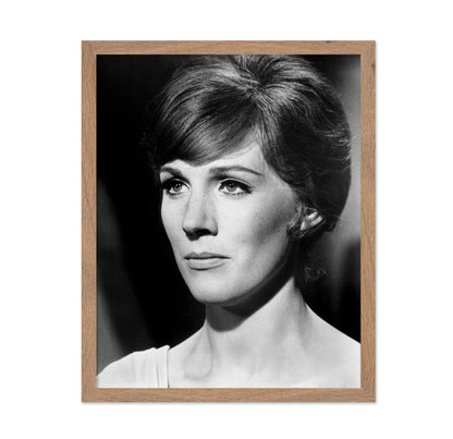 Darling Lili 1970 Julie Andrews