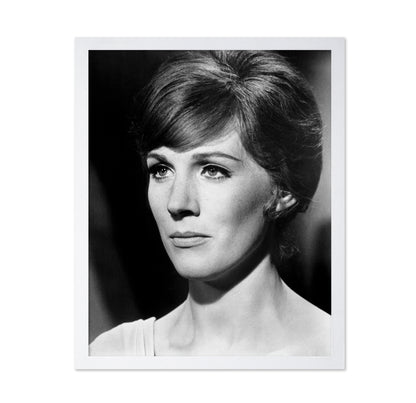 Darling Lili 1970 Julie Andrews