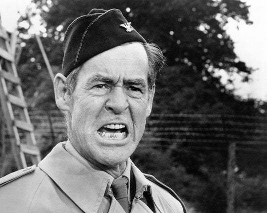 The Dirty Dozen 1967 Robert Ryan