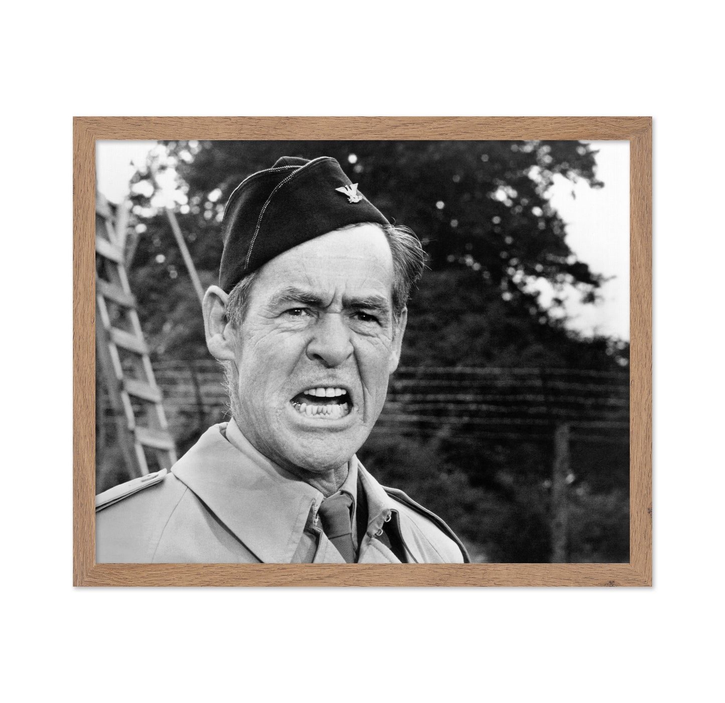 The Dirty Dozen 1967 Robert Ryan