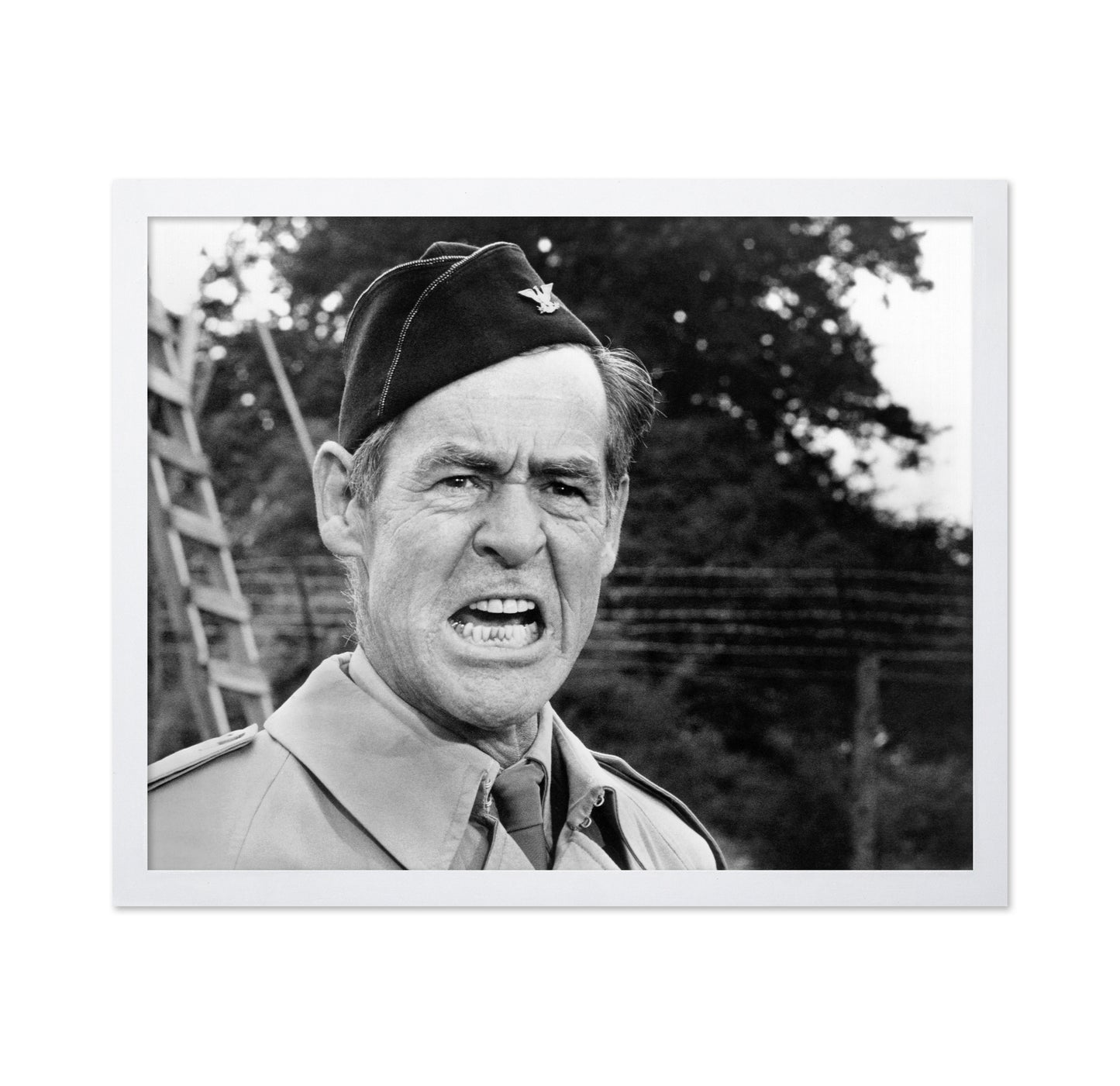 The Dirty Dozen 1967 Robert Ryan