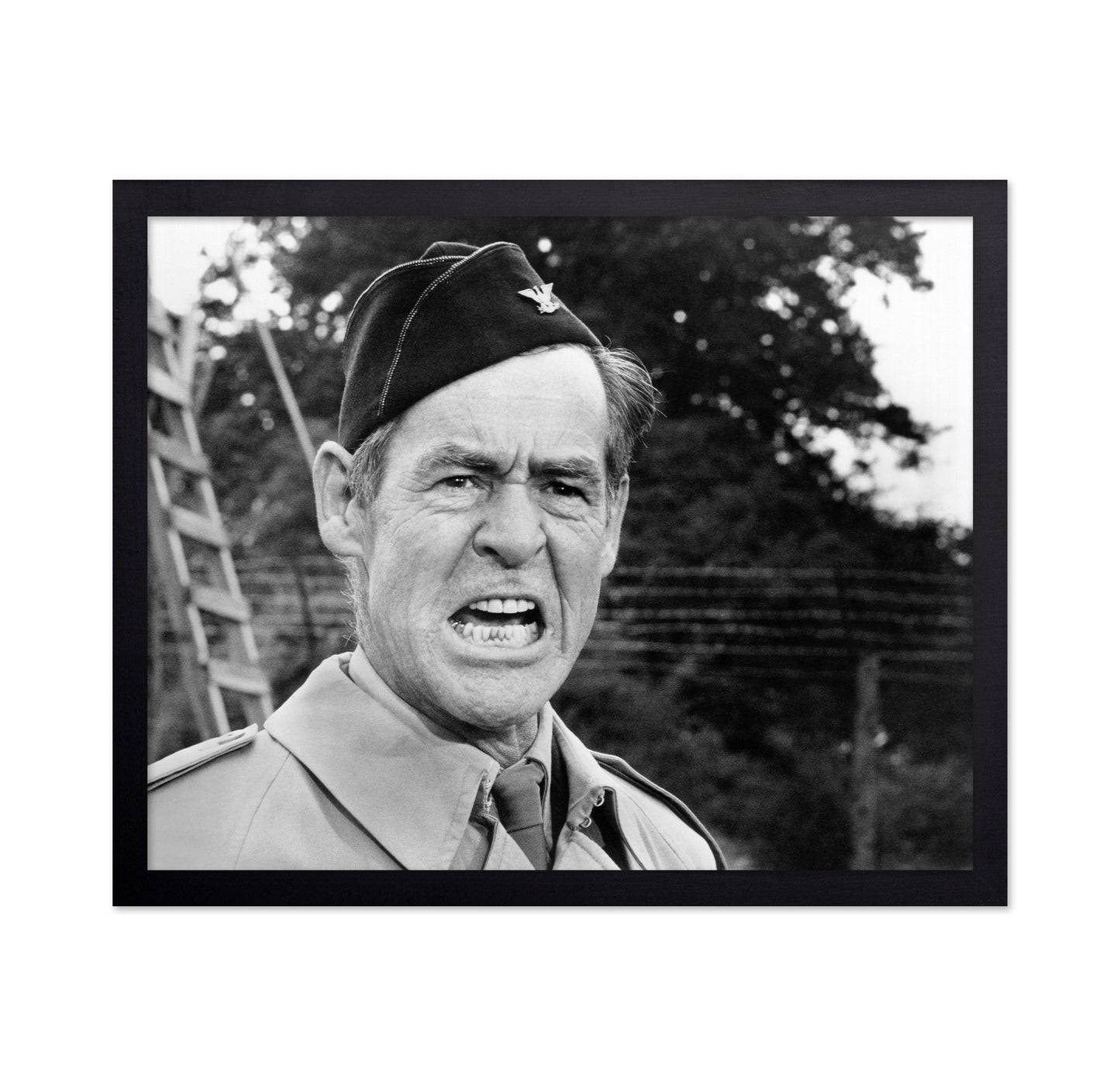 The Dirty Dozen 1967 Robert Ryan