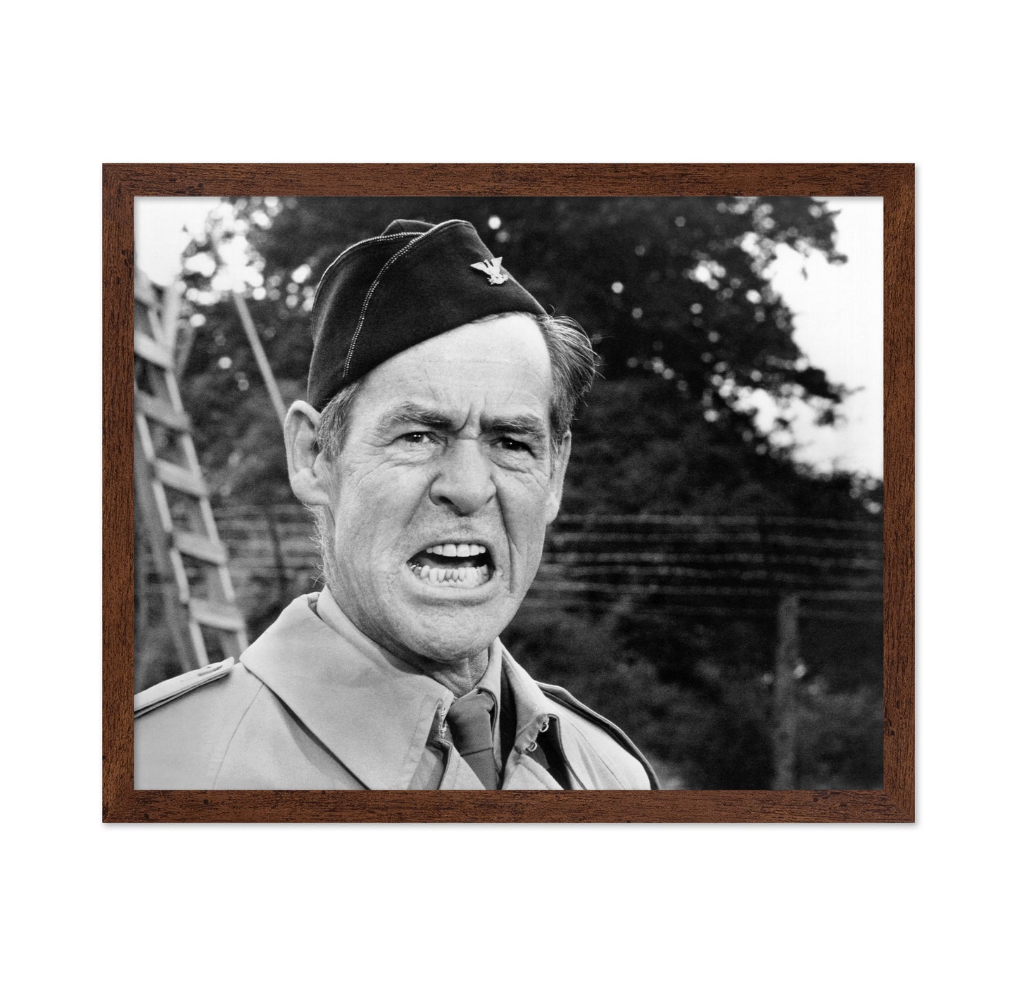 The Dirty Dozen 1967 Robert Ryan