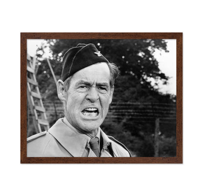 The Dirty Dozen 1967 Robert Ryan