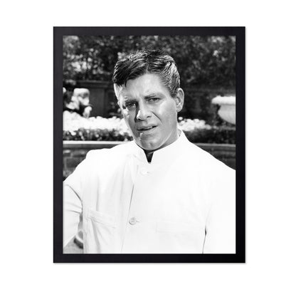 The Disorderly Orderly 1964 Jerry Lewis