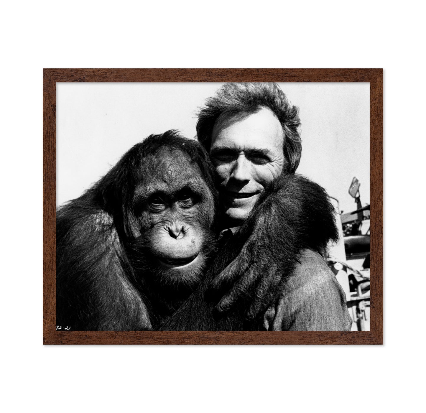 Every Which Way But Loose 1978 Clint Eastwood