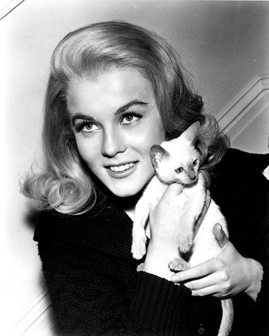 Kitten With A Whip 1964 Ann-Margret No1