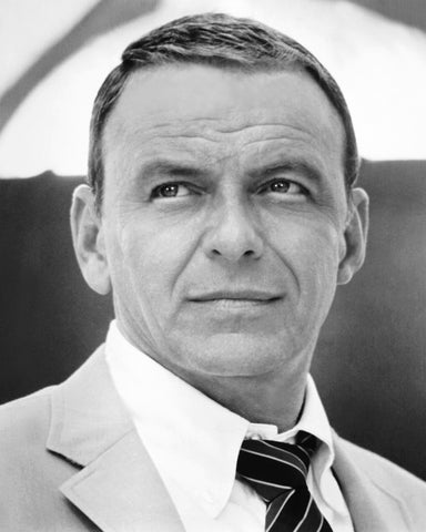 Lady In Cement 1968 Frank Sinatra No2