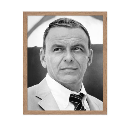 Lady In Cement 1968 Frank Sinatra No2