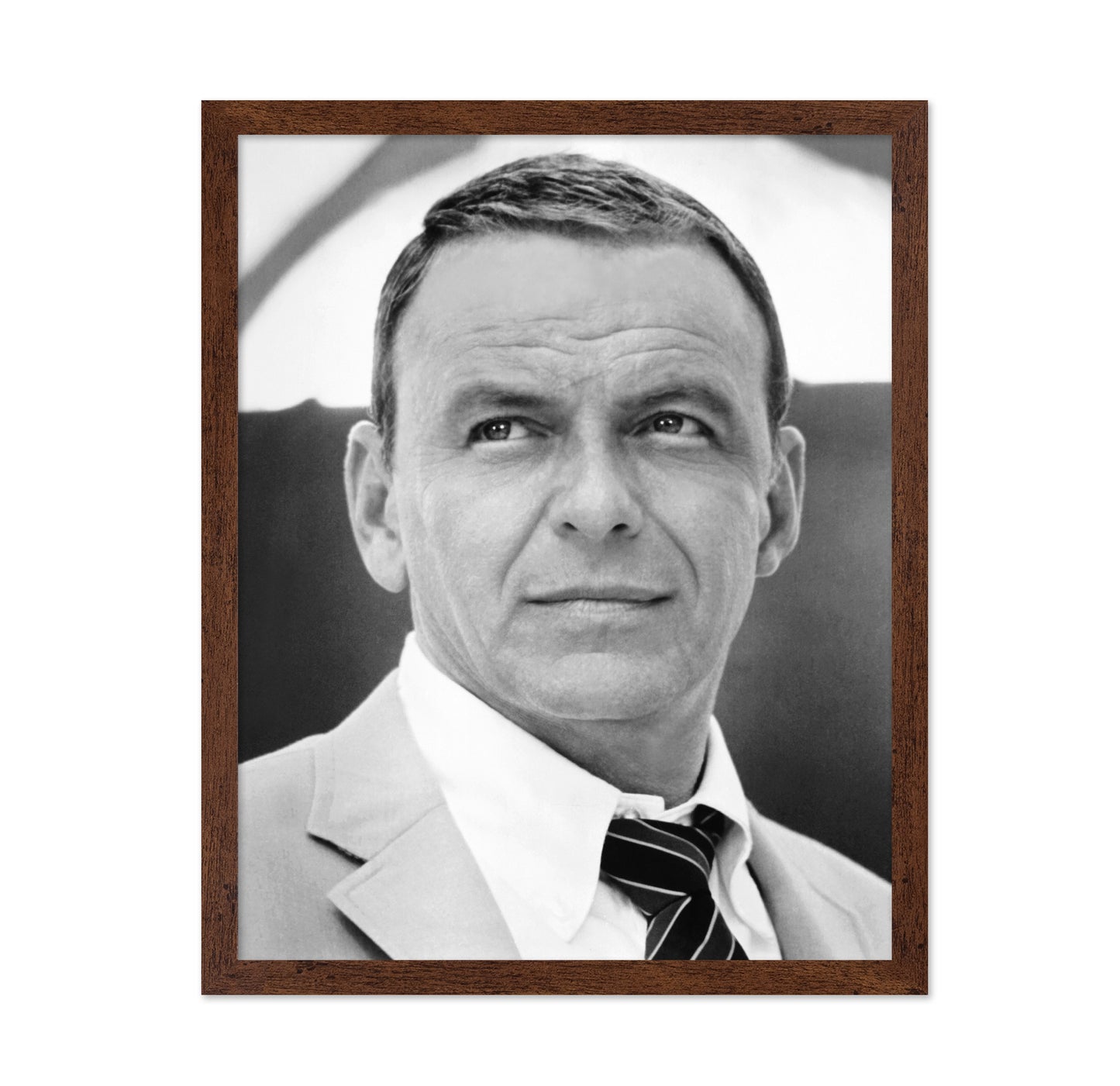 Lady In Cement 1968 Frank Sinatra No2