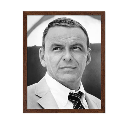 Lady In Cement 1968 Frank Sinatra No2