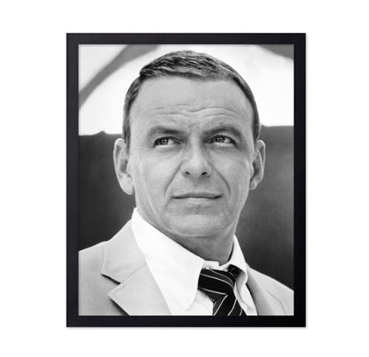 Lady In Cement 1968 Frank Sinatra No2
