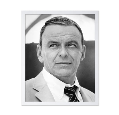 Lady In Cement 1968 Frank Sinatra No2