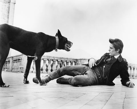 The Leopard 1963 Alain Delon No1