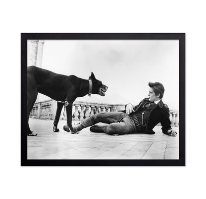 The Leopard 1963 Alain Delon No1