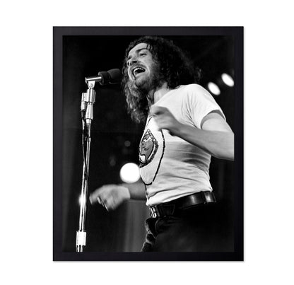 Mad Dogs and Englishmen 1971 Joe Cocker No1