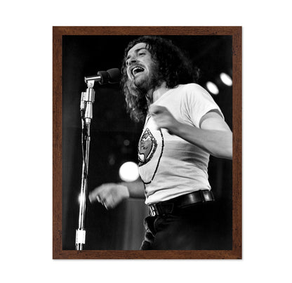 Mad Dogs and Englishmen 1971 Joe Cocker No1