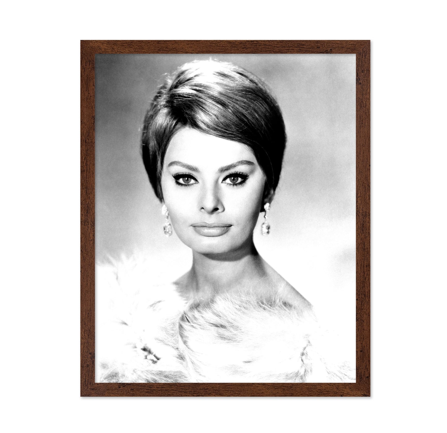 The Millionairess 1960 Sophia Loren