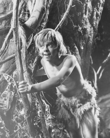 A Midsummer Night's Dream 1935 Mickey Rooney No1