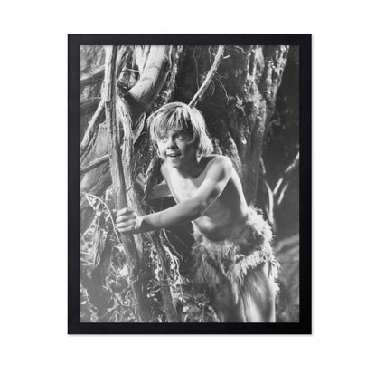 A Midsummer Night's Dream 1935 Mickey Rooney No1