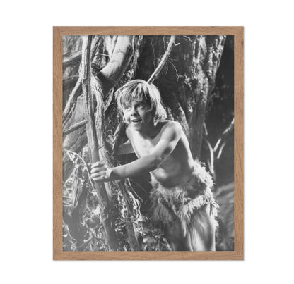 A Midsummer Night's Dream 1935 Mickey Rooney No1
