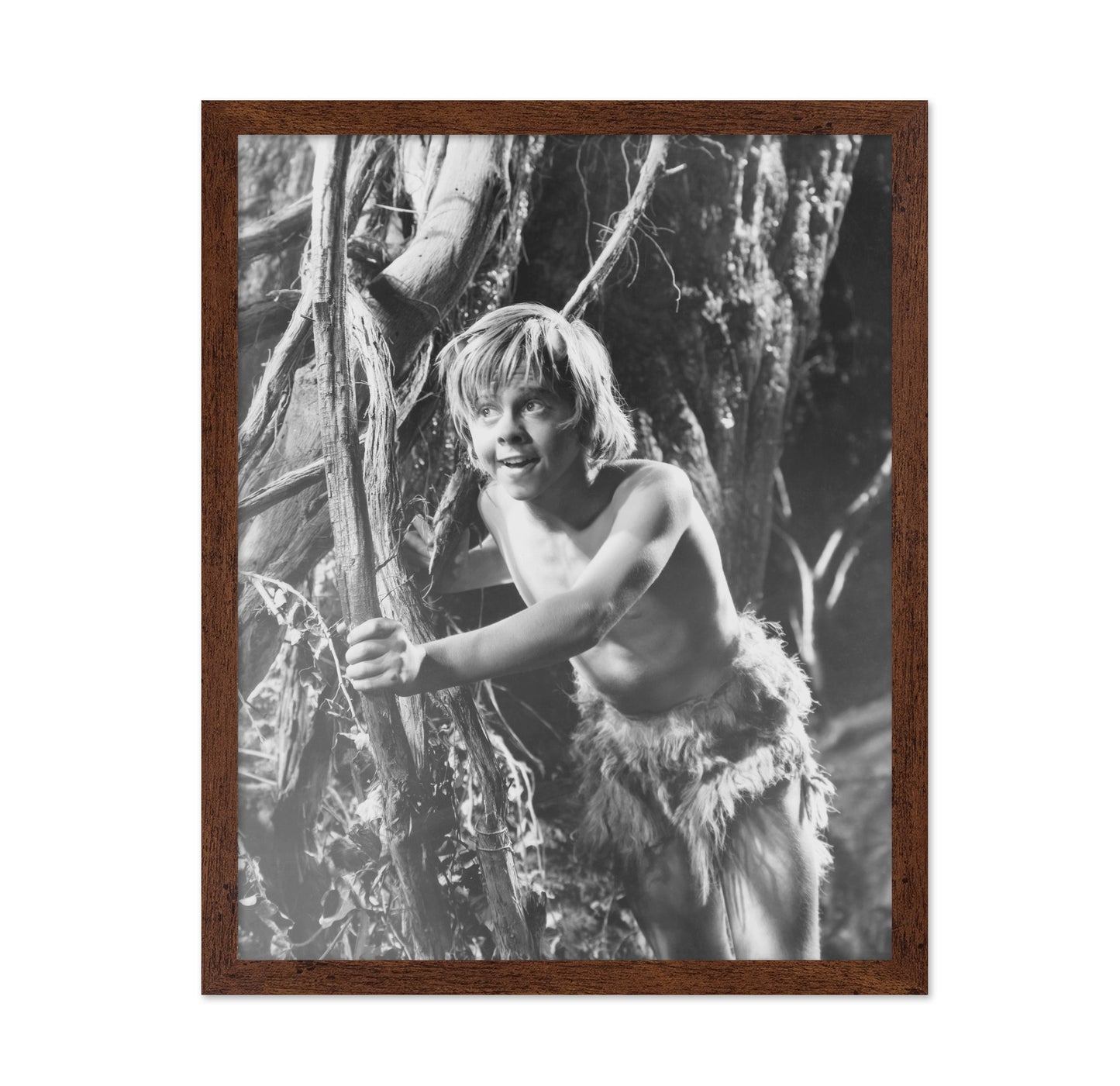 A Midsummer Night's Dream 1935 Mickey Rooney No1