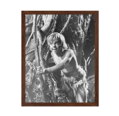 A Midsummer Night's Dream 1935 Mickey Rooney No1