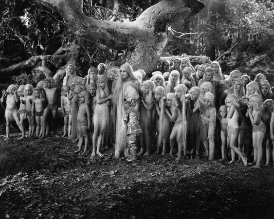 A Midsummer Night's Dream 1935 Anita Louise No1